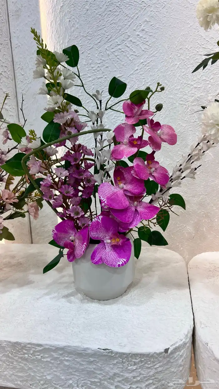 https   maps.app.goo.gl hpED9NPyrjjG7xEz7 g_st ic 55