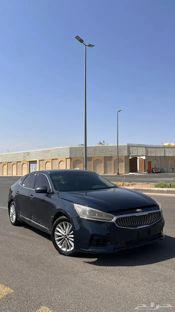 كادنزا 2018 0