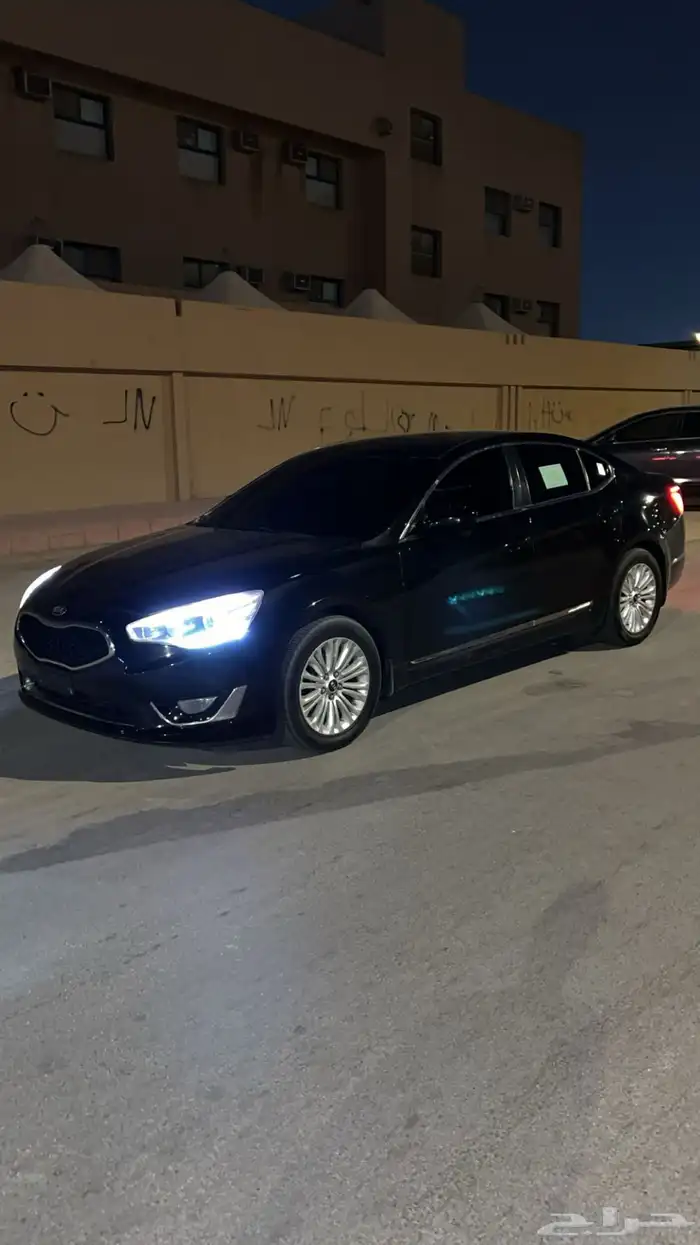 كادينزا 2015 2