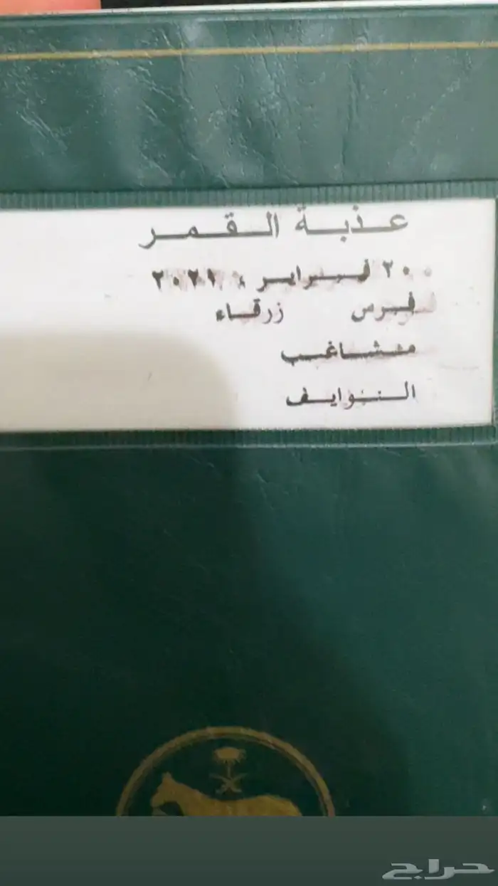 خيل 4
