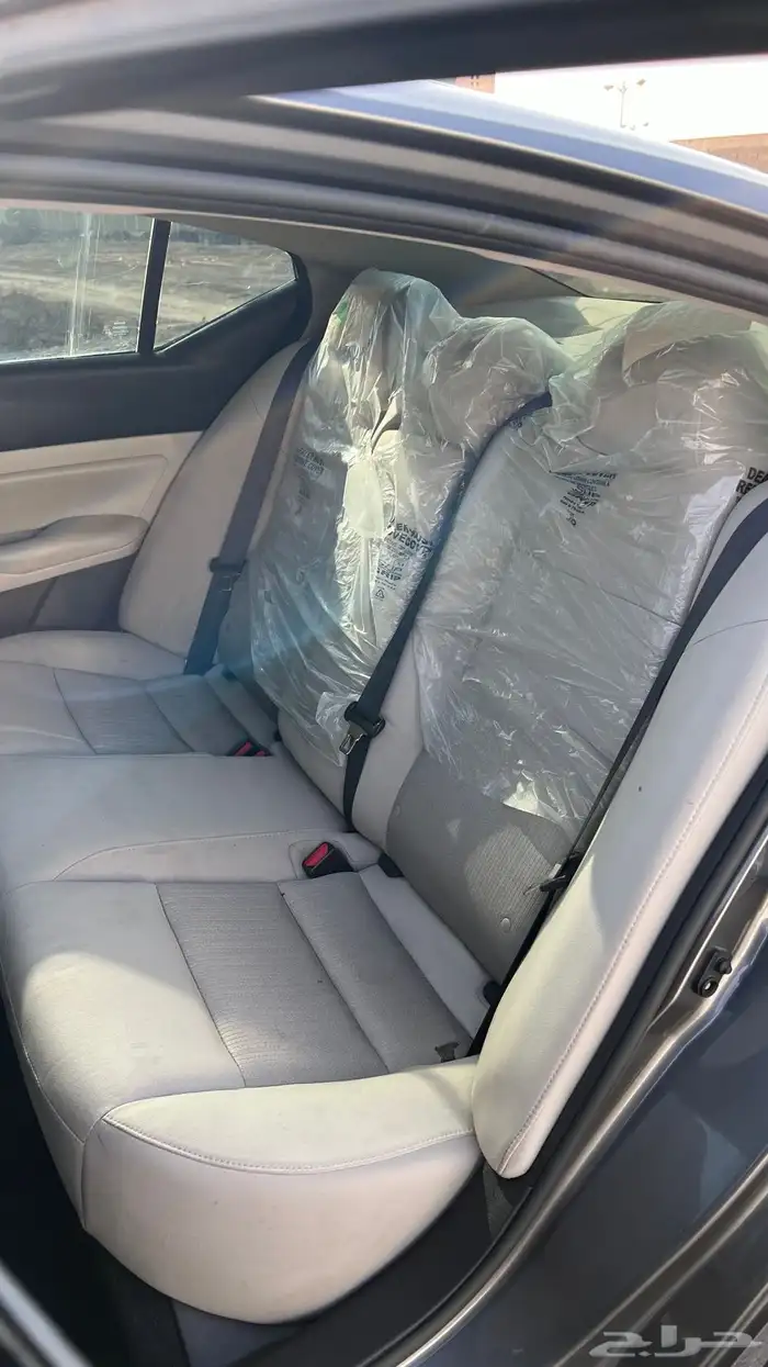 التيما 2024 11