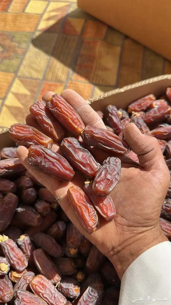 تمر مبروم للبيع 0