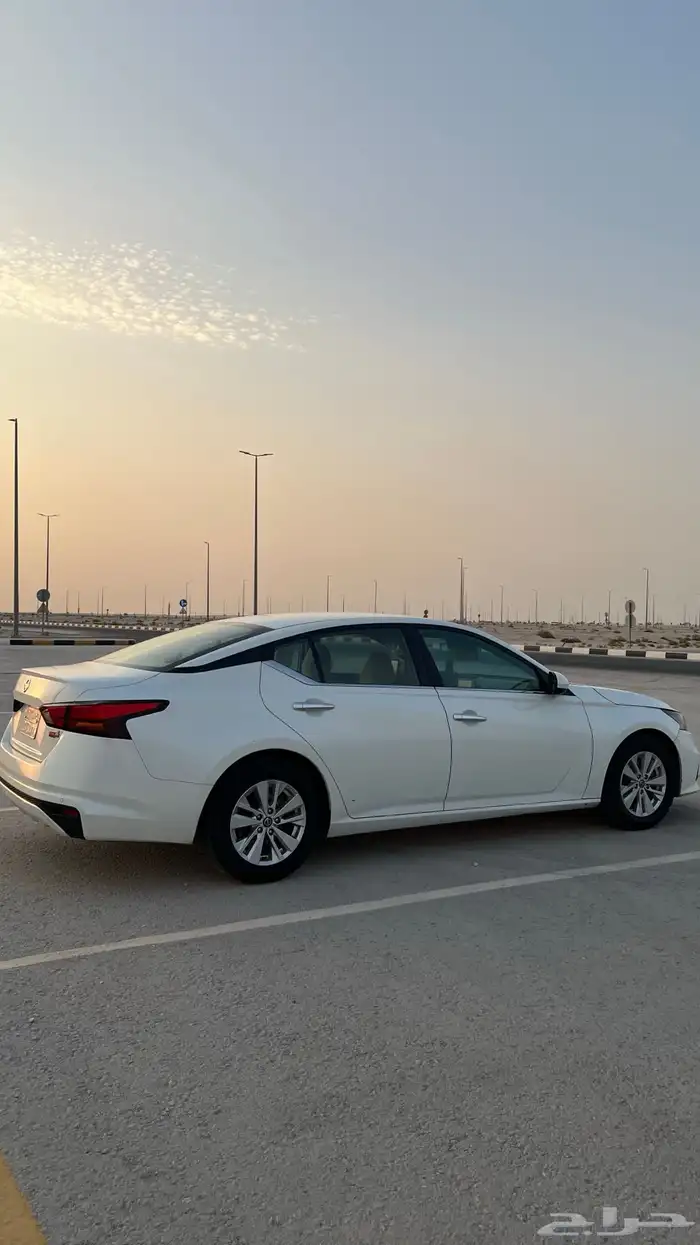 التيما 2022 اتحمل الفحص 8