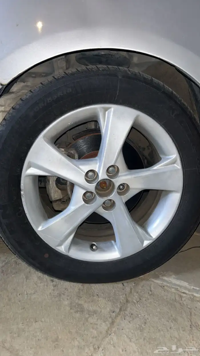 جنوط كورلا 1