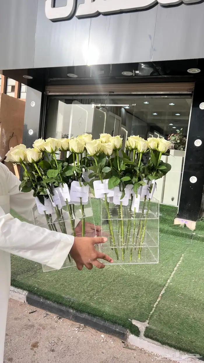 https   maps.app.goo.gl hpED9NPyrjjG7xEz7 g_st ic 90