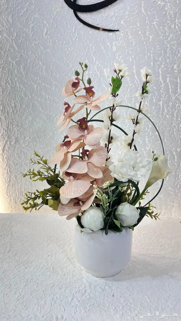 https   maps.app.goo.gl hpED9NPyrjjG7xEz7 g_st ic 51