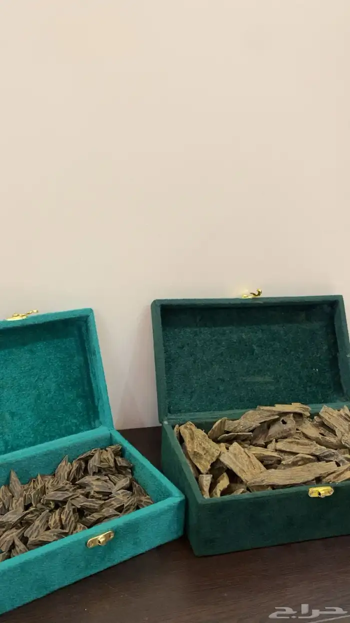 عود ازرق الاوقيه ب120 مع التوصيل 0