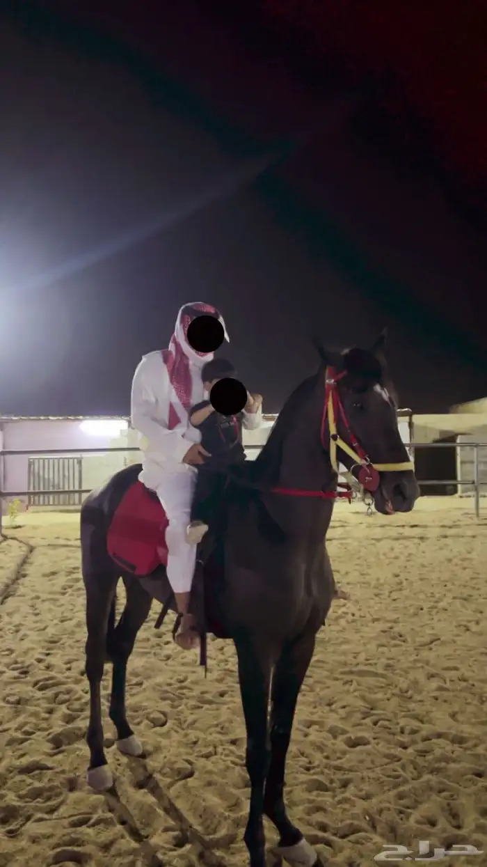 مدرسه ركوب خيل 1