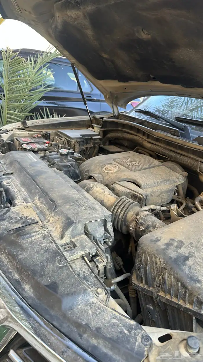 بترول نيسان بلاتينيوم 2013 38