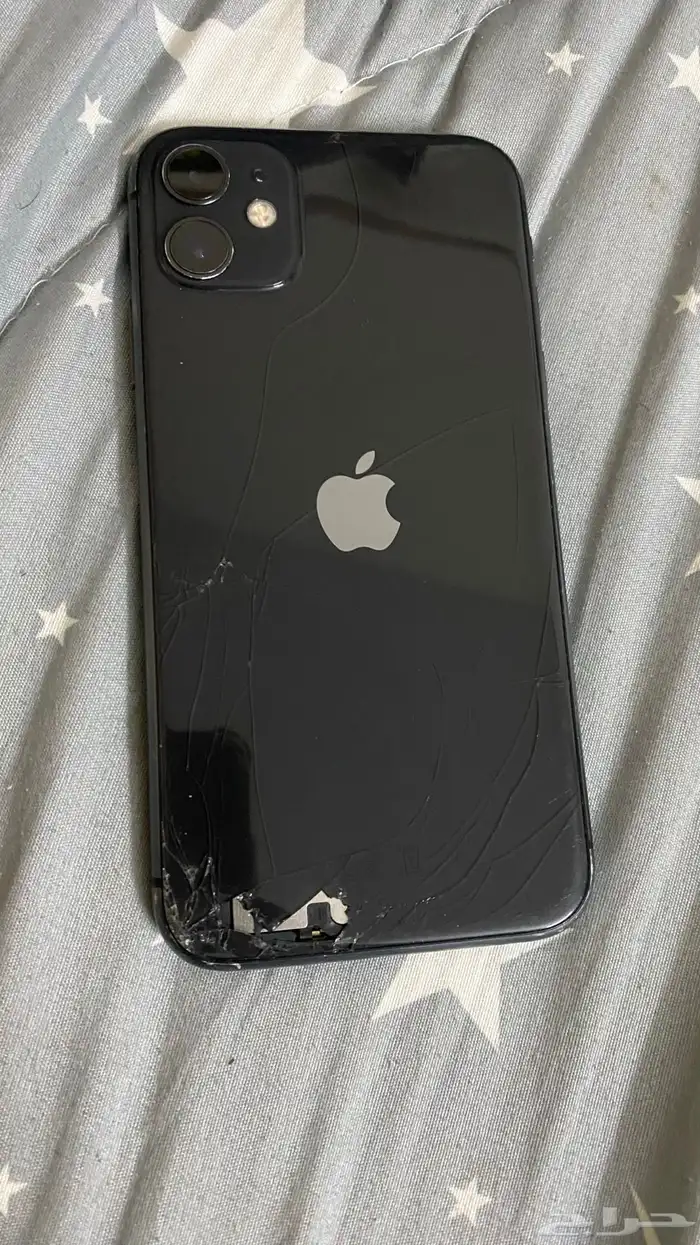 ايفون 11 عادي 3