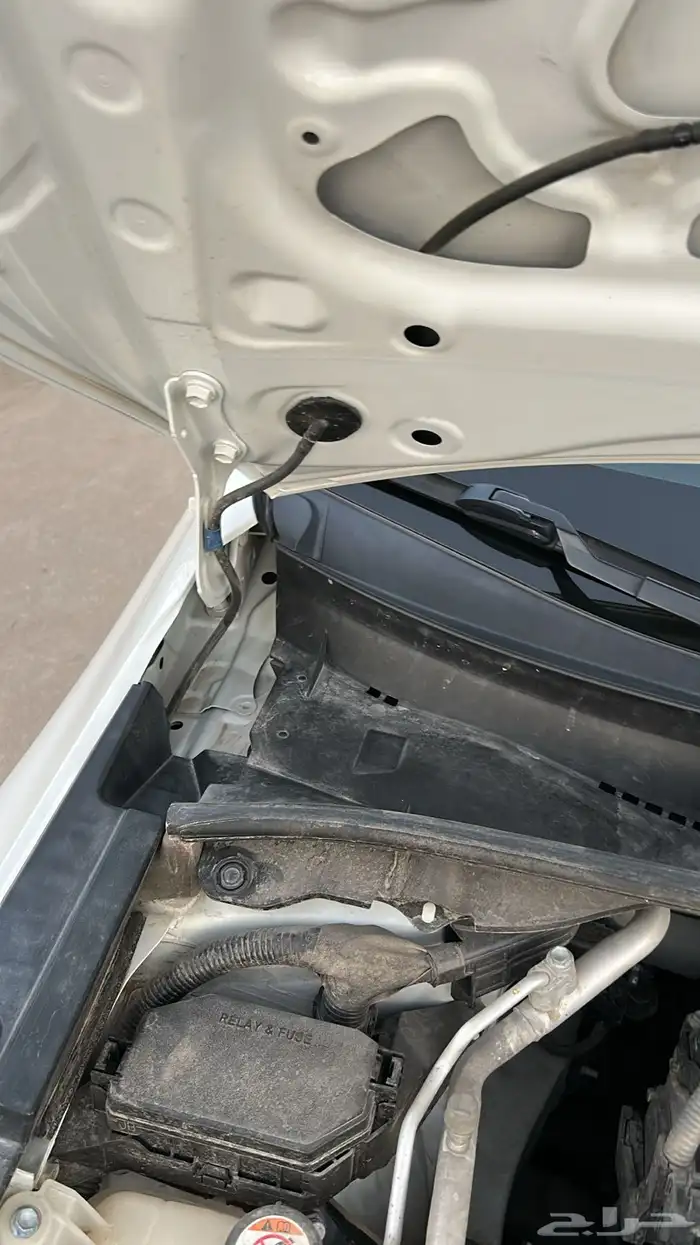 تم البيع والله الحمد والشكر لله يبارك للمشتري 23