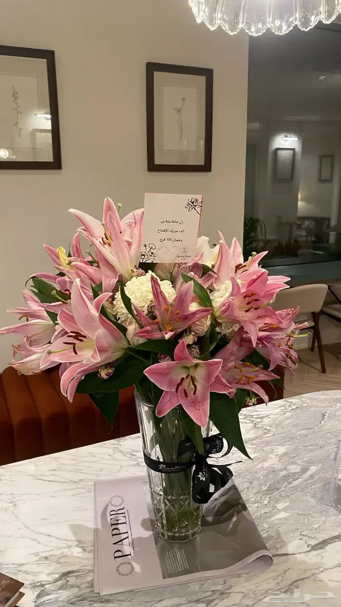 مصورة ومصممة 10