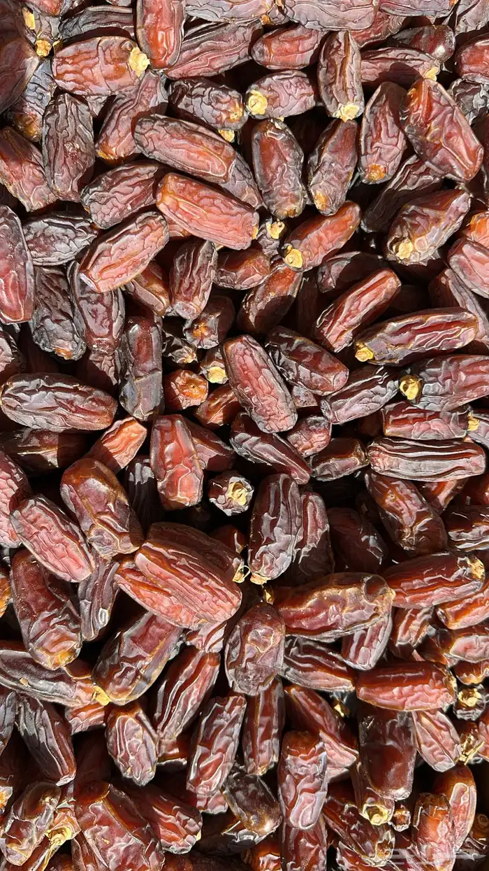 تمر مبروم للبيع 2