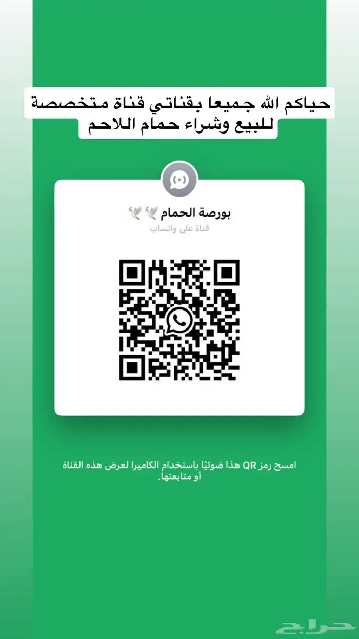 حمام لاحم للبيع 0