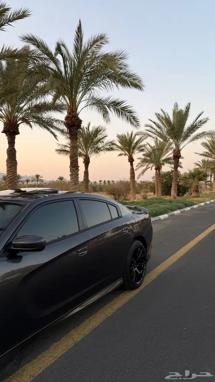 تشارجر 2019 GT وكاله 4