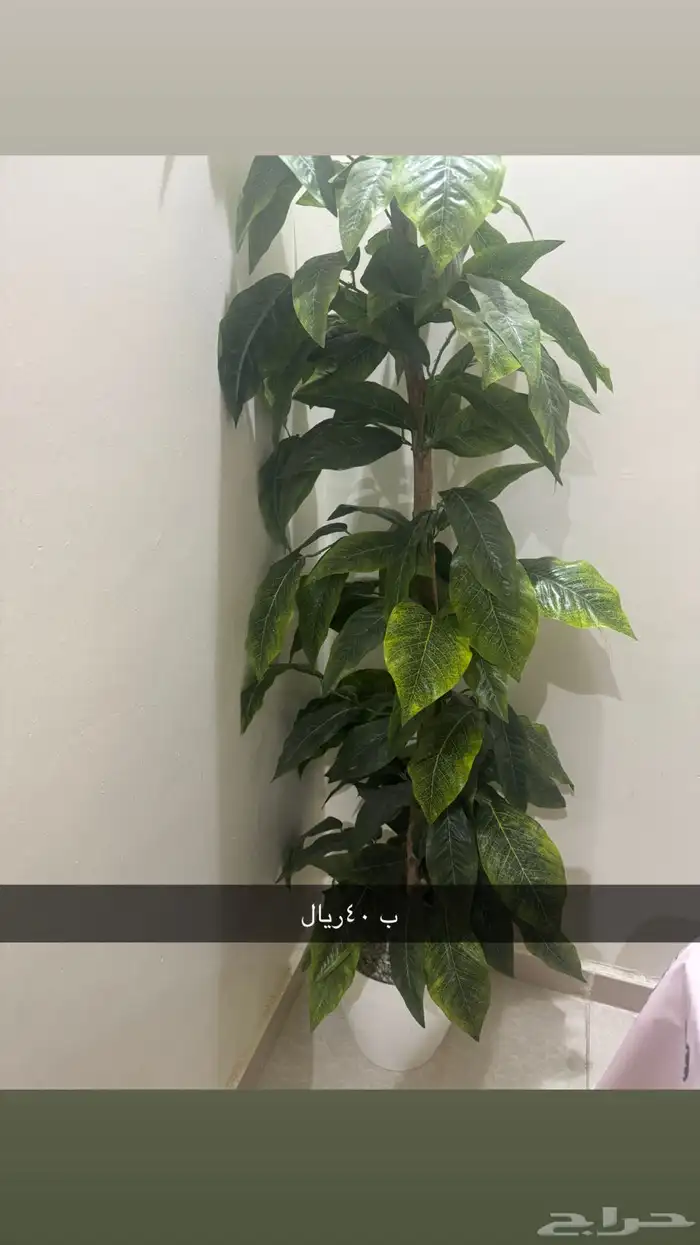 ادوات منزل 2