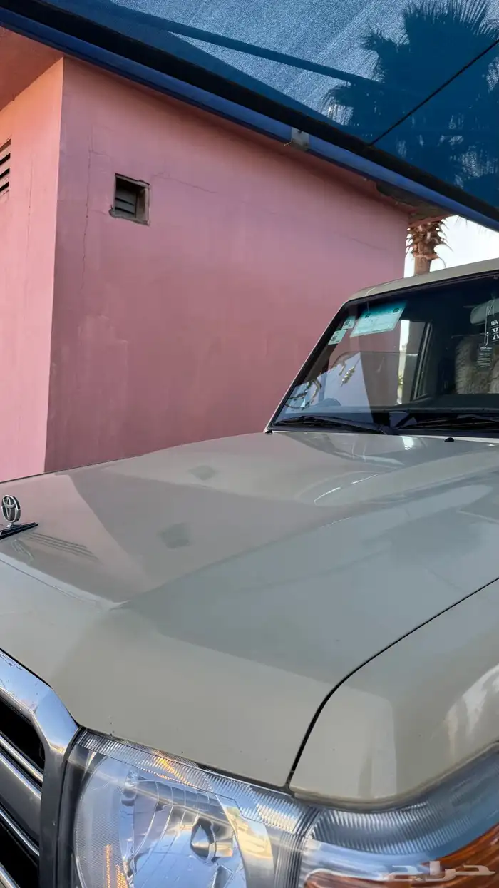 للبيع شاص بلد 31