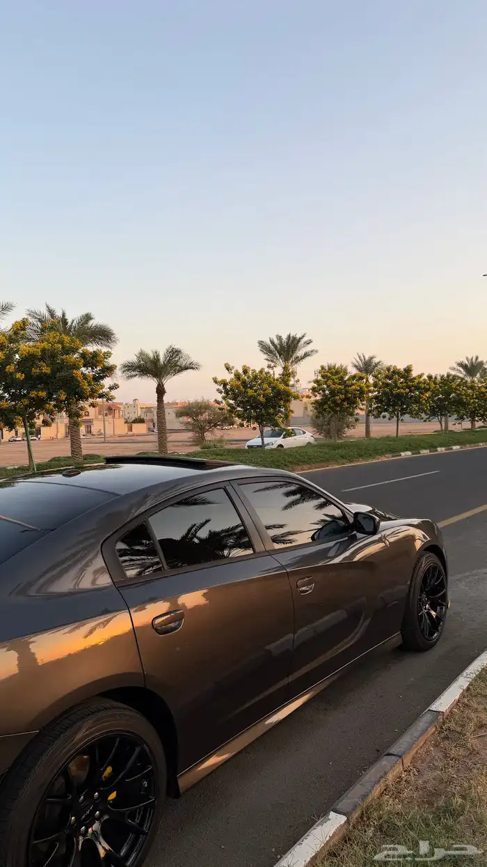 تشارجر 2019 GT وكاله 7