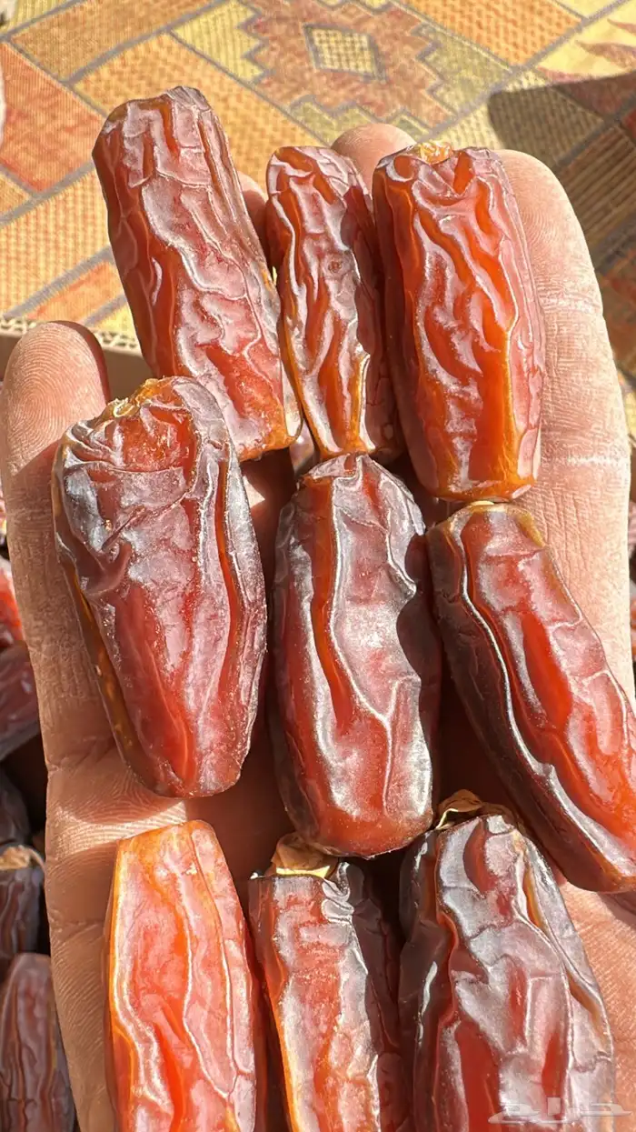 تمر مبروم للبيع 1