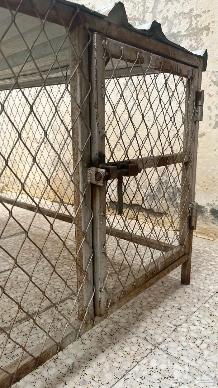 شبك حق ارانب و دجاج 0