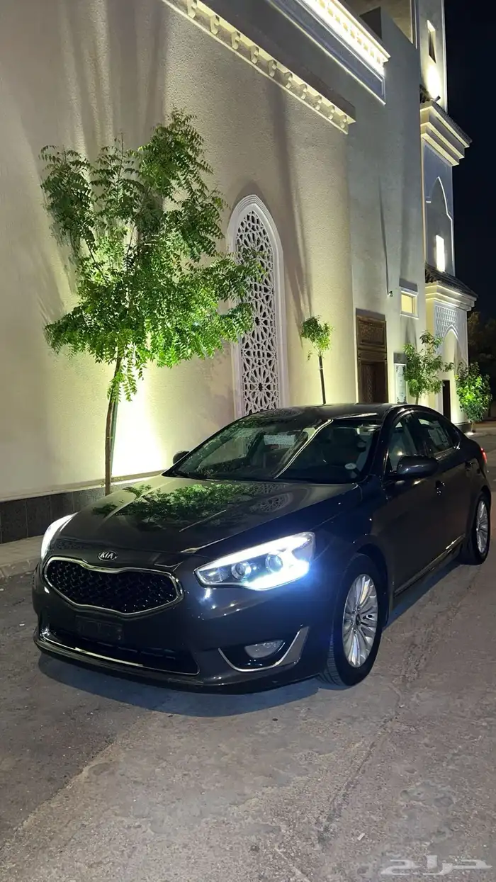 كادينزا 2014 5