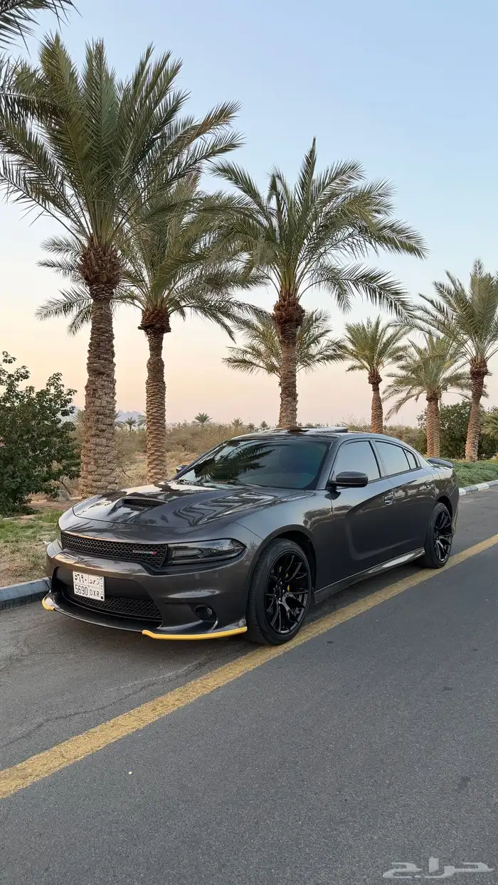 تشارجر 2019 GT وكاله 17