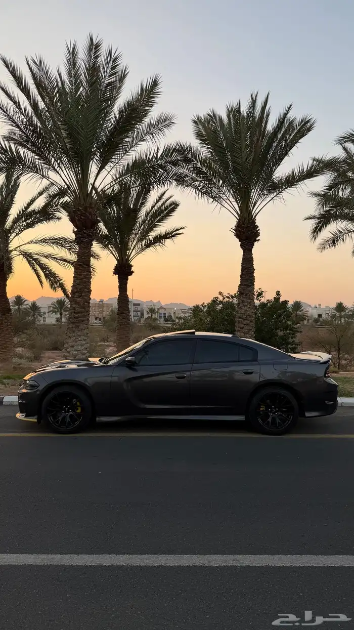 تشارجر 2019 GT وكاله 2
