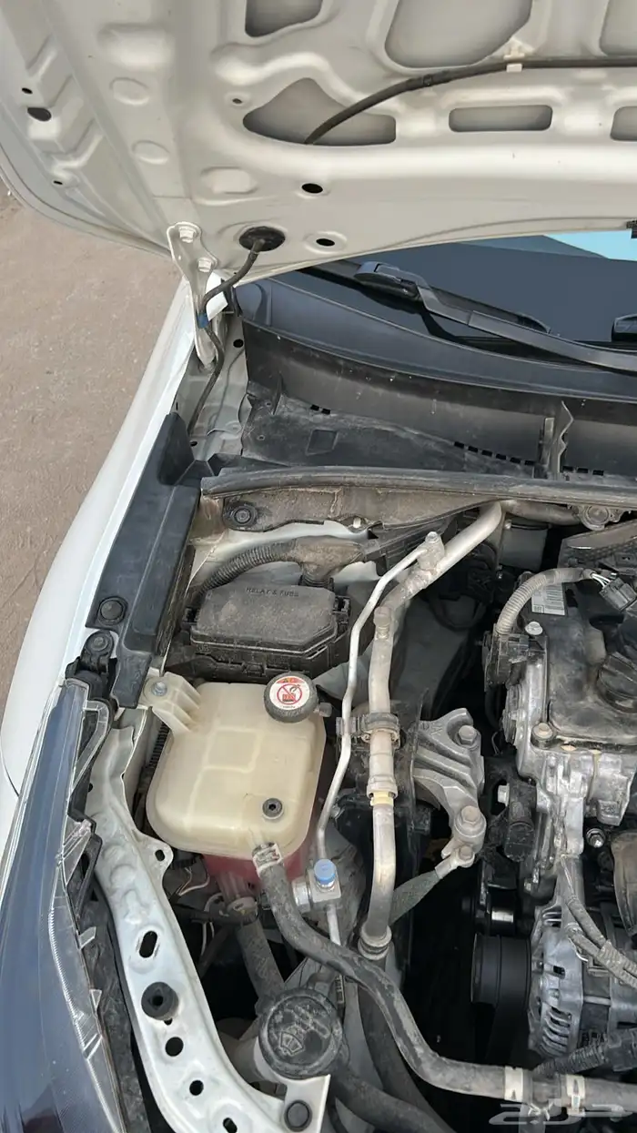 تم البيع والله الحمد والشكر لله يبارك للمشتري 18