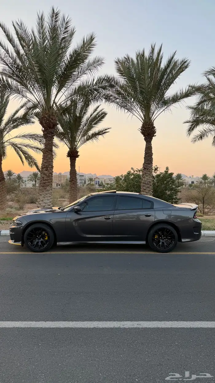 تشارجر 2019 GT وكاله 3
