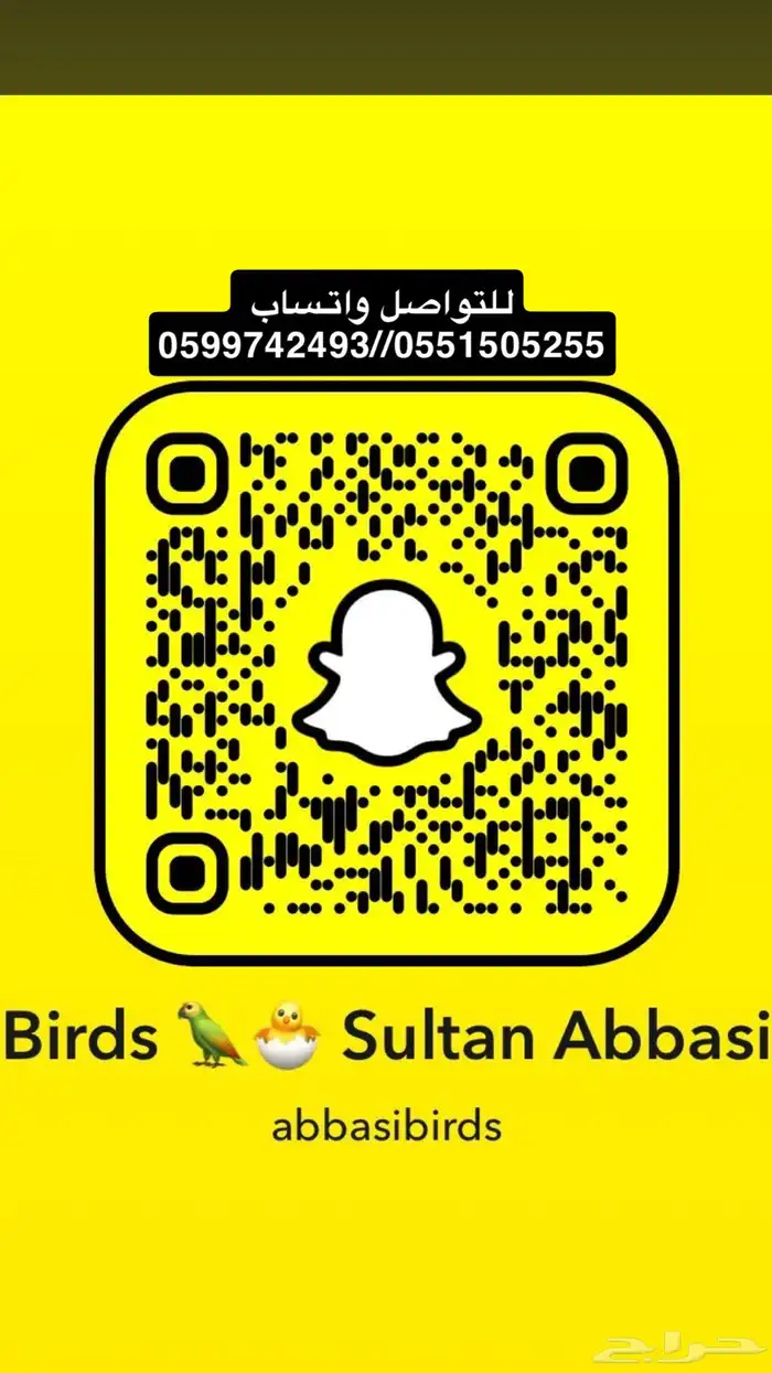 اجواز طيور منتجين 0