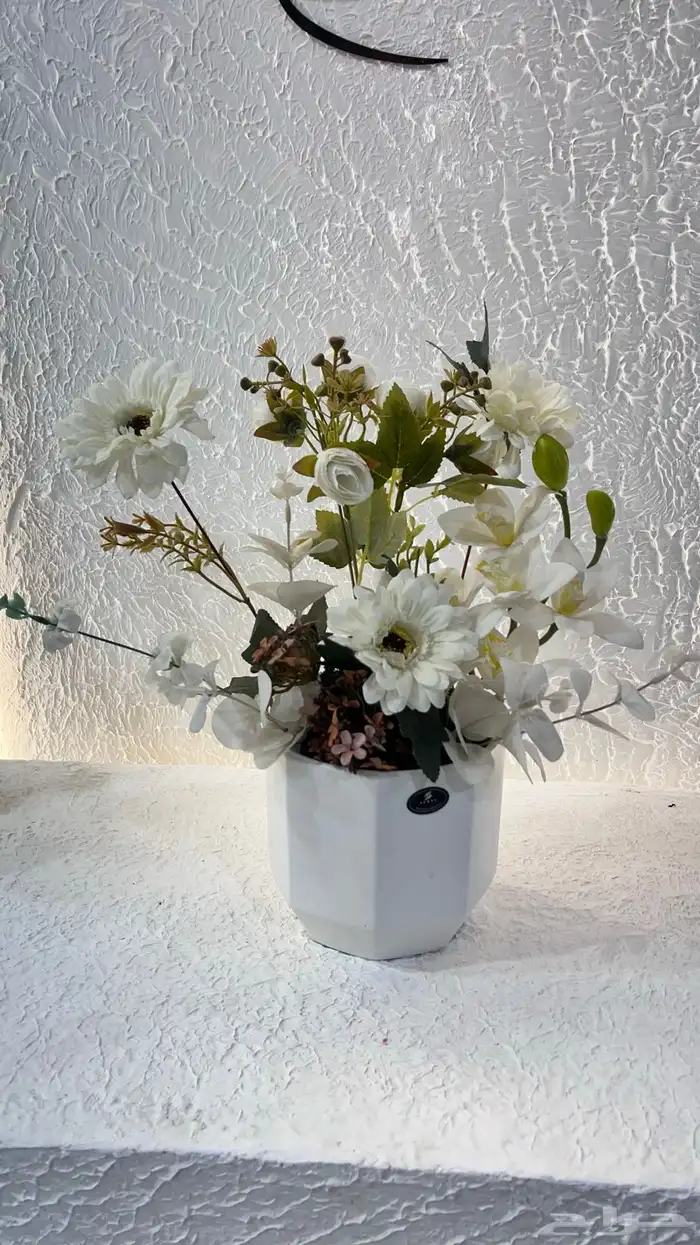 https   maps.app.goo.gl hpED9NPyrjjG7xEz7 g_st ic 50