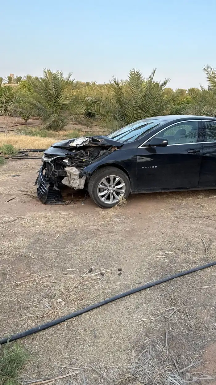 ماليبو 2020 11