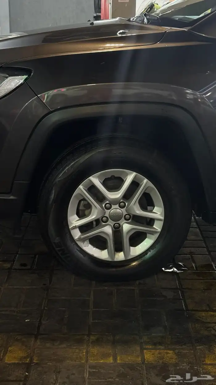 جيب كومبارس 2019 13