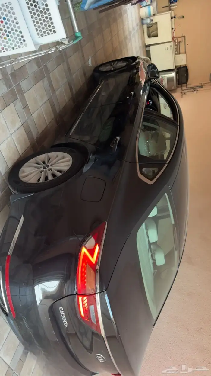 كادينزا 2018 1