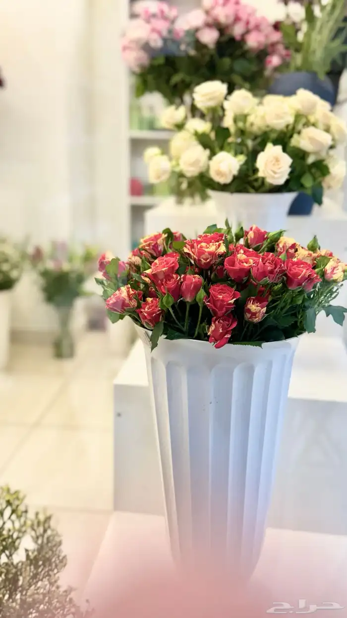 مصورة جوال 11