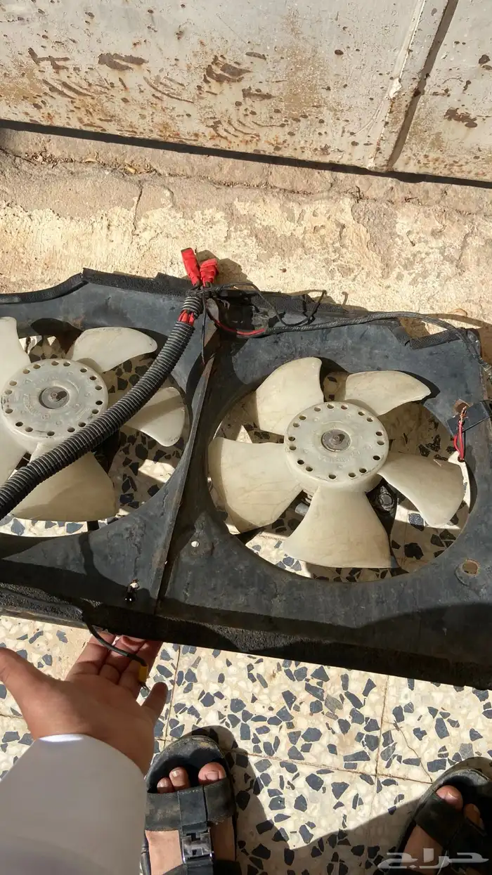 للبيع مراوح سبارو مع ظفيرتها شرط 1