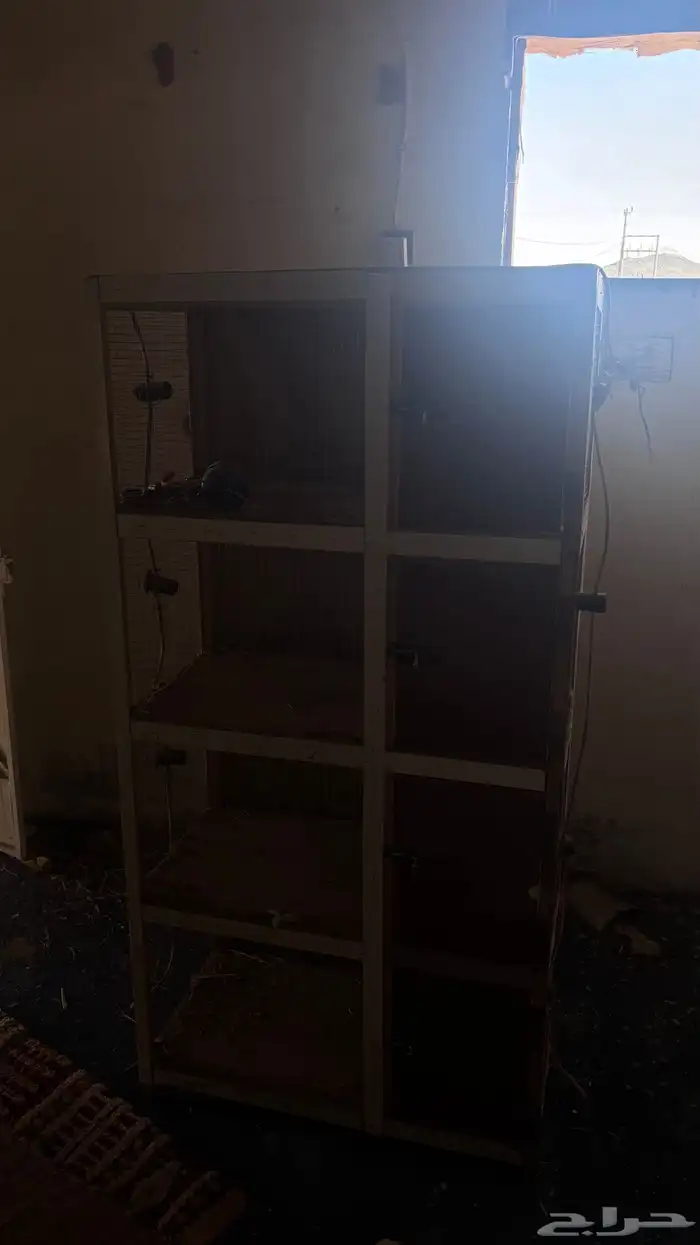 فقاسه المحمديه 1024 بيضه فول اتوماتيك ((انباعت)) 3