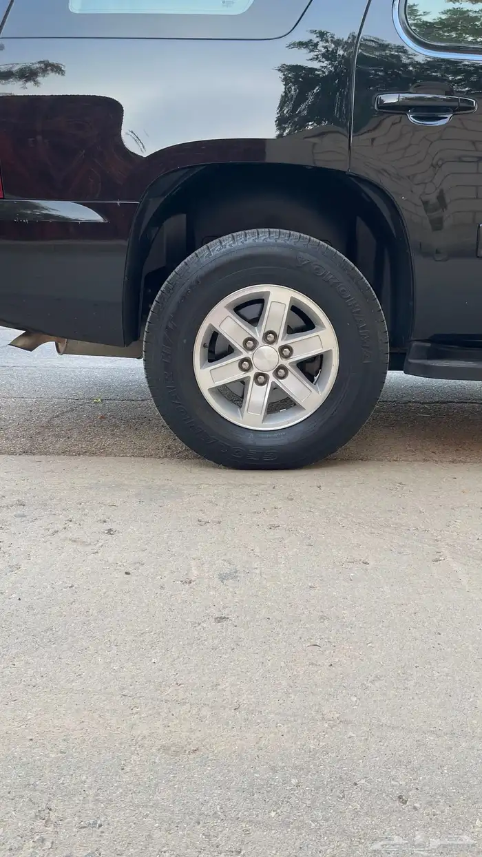 يوكن دبل قصير ( 2013 ) 24