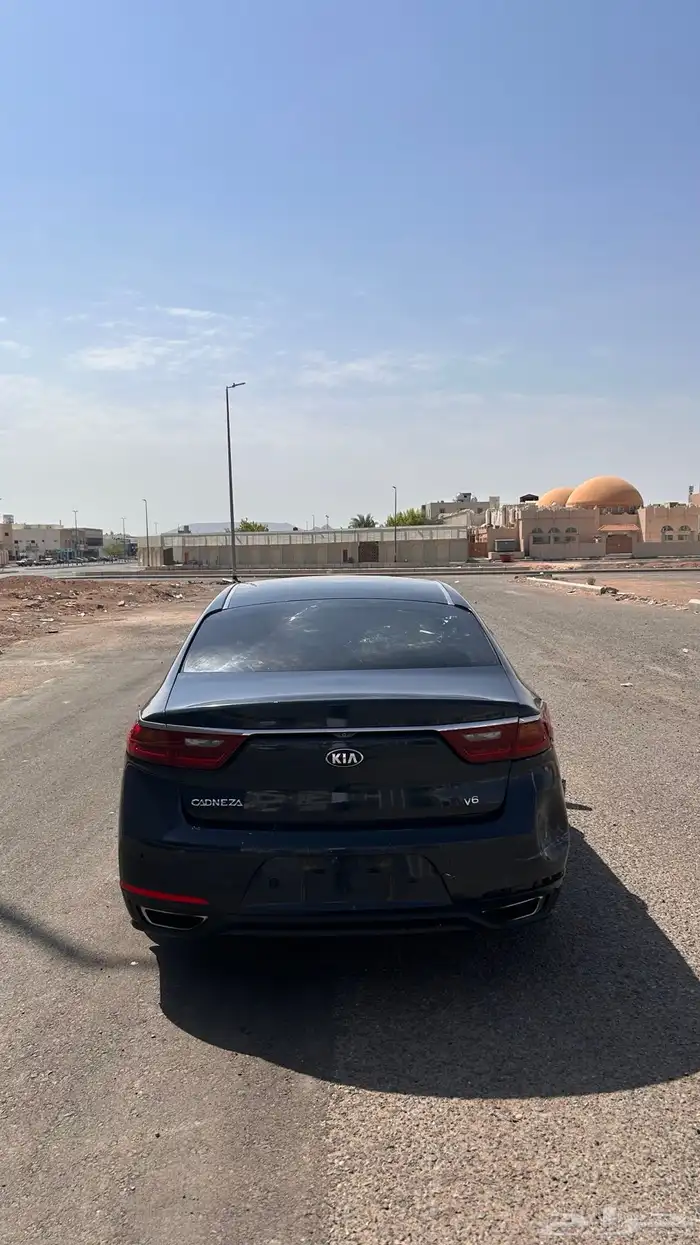 كادنزا 2018 4