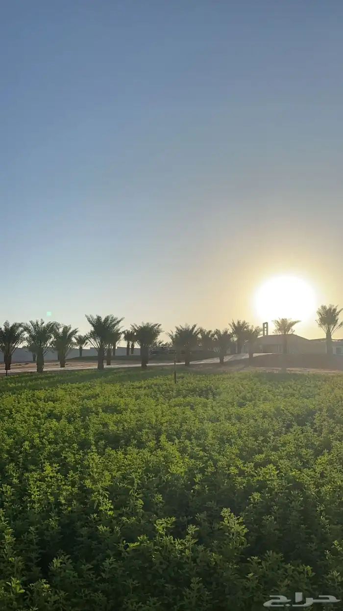 مزرعة للايجار اليومي 3