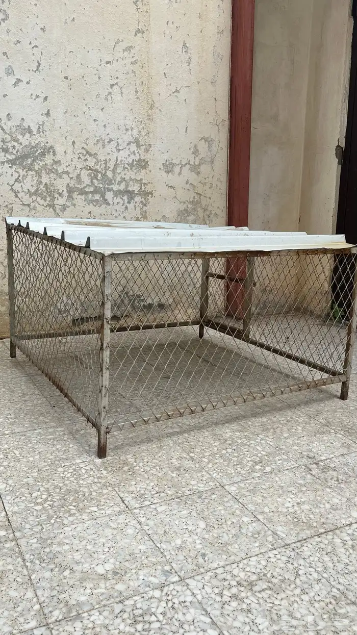 شبك حق ارانب و دجاج 1
