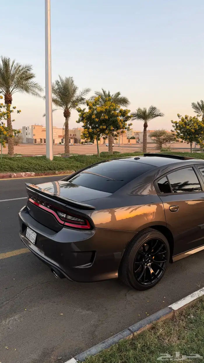 تشارجر 2019 GT وكاله 12