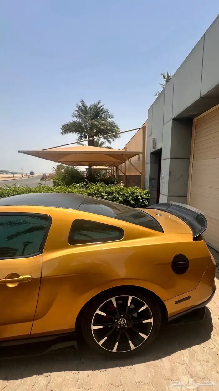 موستنج 2010 6v 1