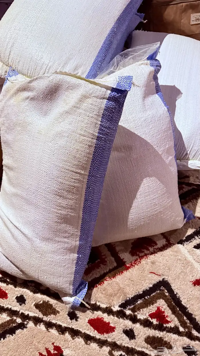 حنا ينبع النخل 0