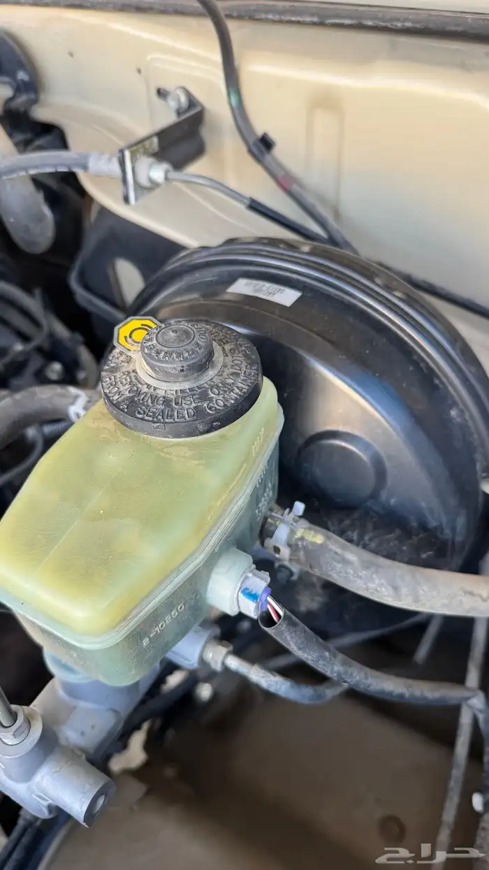 للبيع شاص بلد 54