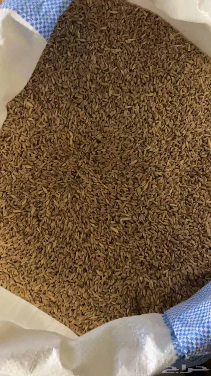 طحين بر ( معيه) الكميه محدودة 5