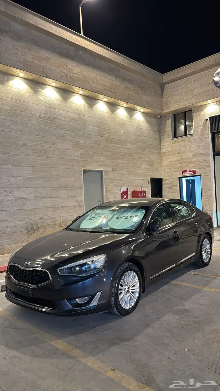 كادينزا 2014 9