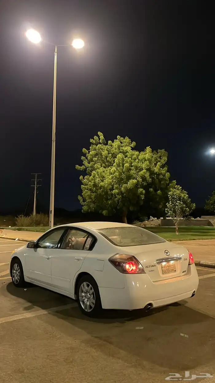 التيما 2010 0