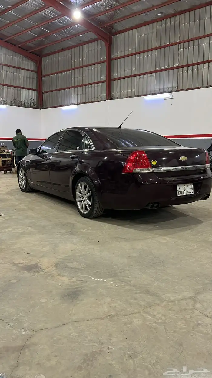 كابرس عنابي 2013 3