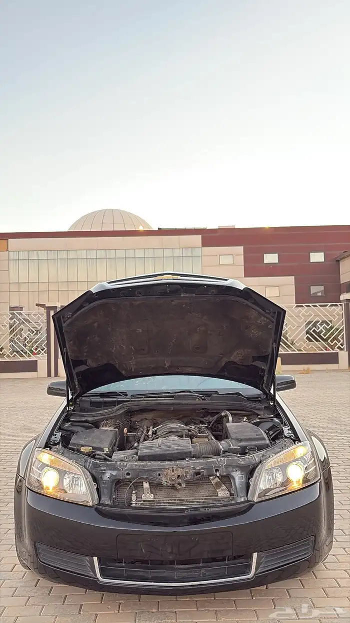 كابرس 2012 نظيف 16